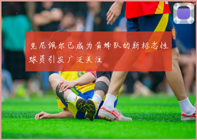 克尼佩尔已成为黄蜂队的新标志性球员引发广泛关注
